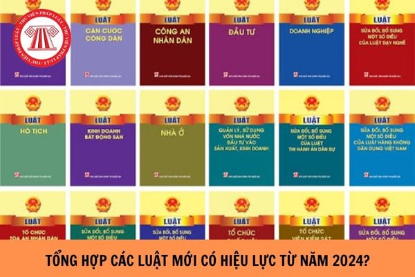 Tổng hợp các Luật có hiệu lực từ năm 2024?