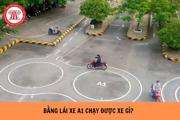 Bằng lái xe A1 chạy được xe gì? Hồ sơ thi bằng lái xe A1 bao gồm giấy tờ nào?