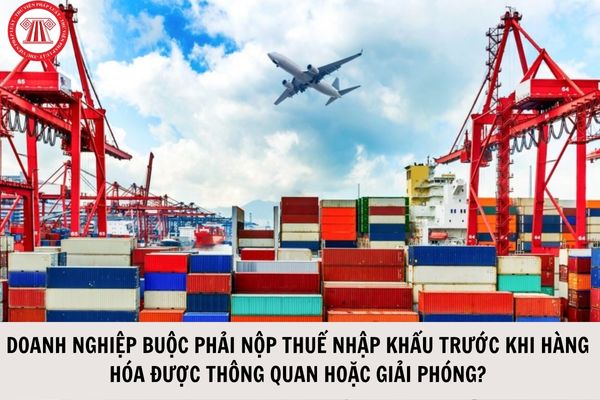 Có phải doanh nghiệp nhập khẩu buộc phải nộp thuế nhập khẩu trước khi hàng hóa được thông quan hoặc được giải phóng hàng hóa? (Hình từ Internet).