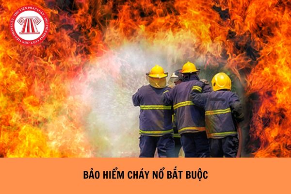 Bảo hiểm cháy nổ bắt buộc là gì? Đối tượng phải mua bảo hiểm cháy nổ bắt buộc?