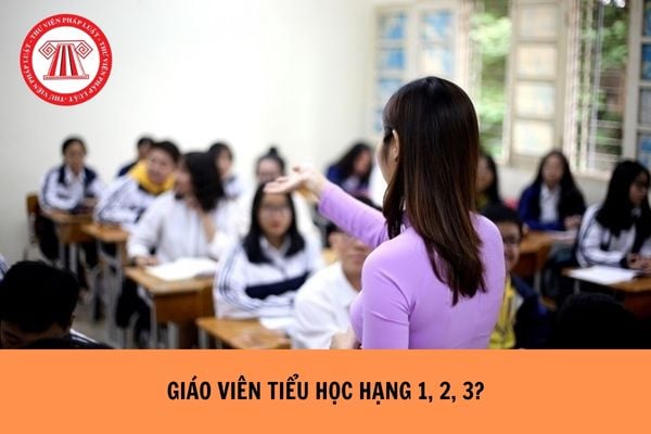 Giáo viên tiểu học hạng 1, 2, 3 là gì? Lương giáo viên tiểu học hạng 1 bao nhiêu?