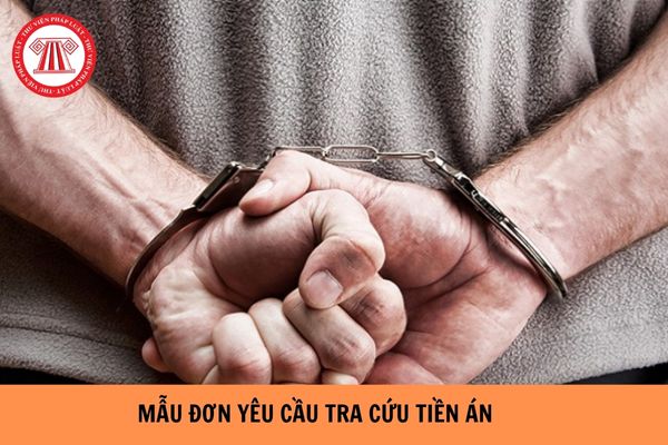 Mẫu đơn yêu cầu tra cứu tiền án chuẩn nhất năm 2023?