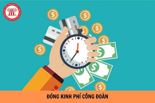 Tiền lương của người quản lý doanh nghiệp có được tính vào quỹ tiền lương để trích đóng kinh phí công đoàn hay không?