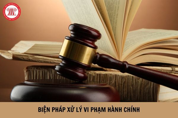 Các biện pháp xử lý hành chính có phải chỉ áp dụng với công dân Việt Nam? (Hình từ Internet).