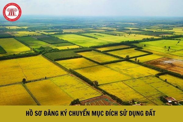 Hồ sơ đăng ký chuyển mục đích sử dụng đất không phải xin phép cơ quan nhà nước bao gồm giấy tờ gì? (Hình từ Internet).