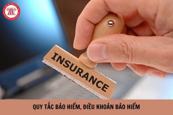 Cơ quan nào có quyền phê chuẩn quy tắc bảo hiểm, điều khoản bảo hiểm? (Hình từ Internet),