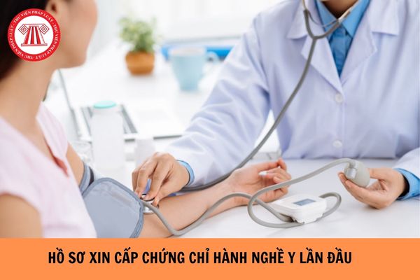 Hồ sơ xin cấp chứng chỉ hành nghề y lần đầu đối với người Việt Nam năm 2024?
