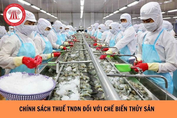 Chính sách thuế TNDN đối với hoạt động chế biến thủy sản năm 2024?