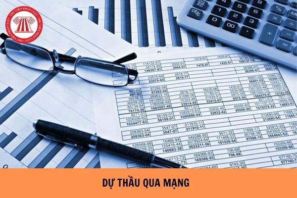 Có phải nộp thêm hồ sơ giấy đối với dự thầu qua mạng hay không?