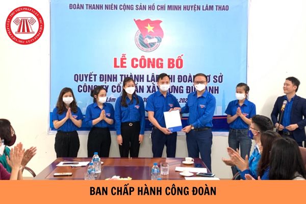 Công đoàn cơ sở không được bầu Ban chấp hành công đoàn trong trường hợp nào?