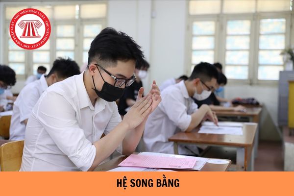 Hệ song bằng là gì? Điều kiện để học hệ song bằng đại học là gì?