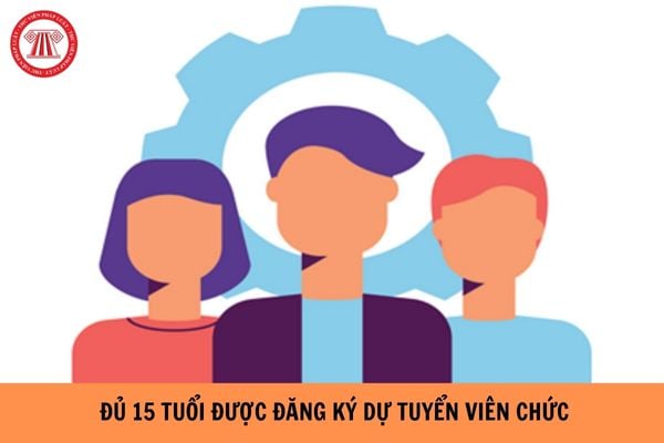 Người đủ 15 tuổi có được đăng ký dự tuyển viên chức? Tổ chức nào được thực hiện tuyển dụng viên chức? (Hình từ Internet).