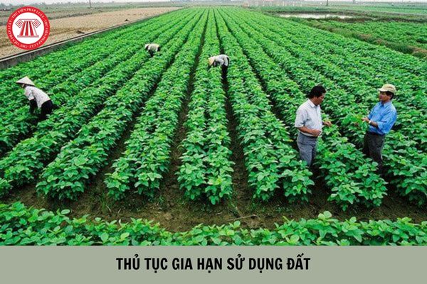 Thủ tục gia hạn sử dụng đất ngoài khu công nghệ cao, khu kinh tế tại Văn phòng đăng ký đất đai, Chi nhánh Văn phòng đăng ký đất đai 2023 được tiến hành như thế nào? (Hình từ Internet).