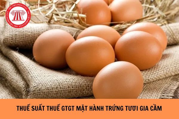 Thuế suất thuế GTGT mặt hàng trứng gia cầm tươi chưa qua chế biến ở khâu kinh doanh thương mại là bao nhiêu? 