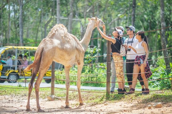 Nhiệm vụ Hiệp hội Vườn thú Việt Nam được quy định như thế nào? 