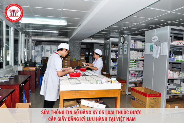 Sửa thông tin số đăng ký 05 loại thuốc được cấp giấy đăng ký lưu hành tại Việt Nam?