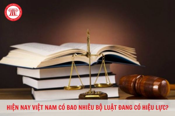 Hiện nay Việt Nam có bao nhiêu bộ luật đang có hiệu lực? Cơ quan nào có thể sửa đổi, bổ sung các bộ luật đang có hiệu lực?