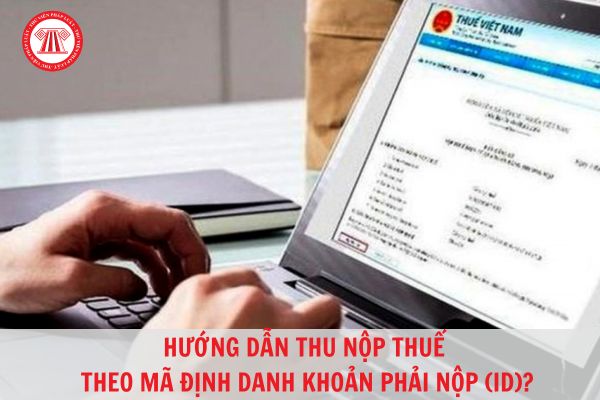 Hỏi đáp Pháp luật