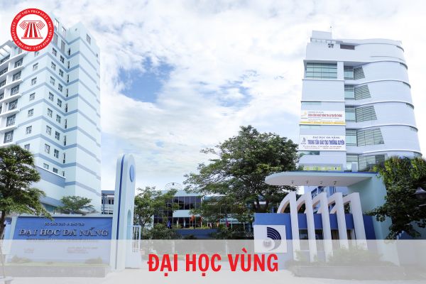 Đại học Vùng là gì? Hiện nay Việt Nam có bao nhiêu đại học Vùng?