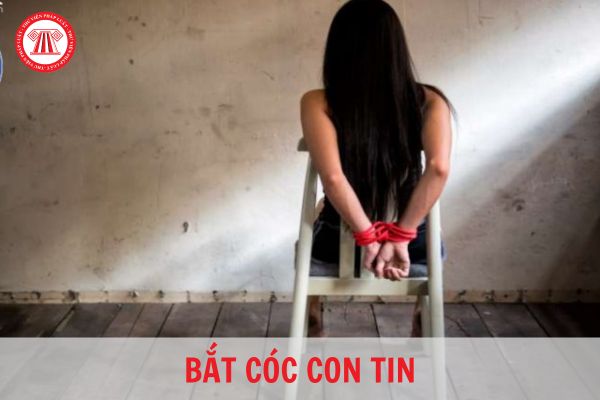 B\u1eaft c\u00f3c con tin b\u1ecb ph\u1ea1t t\u1ed1i \u0111a bao nhi\u00eau n\u0103m t\u00f9? Ng\u01b0\u1eddi che d\u1ea5u ng\u01b0\u1eddi ph\u1ea1m t\u1ed9i b\u1eaft c\u00f3c con tin c\u00f3 ...