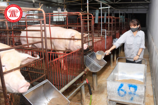 Sản phẩm xử lý chất thải chăn nuôi trước khi lưu thông trên thị trường phải đáp ứng các yêu cầu gì?