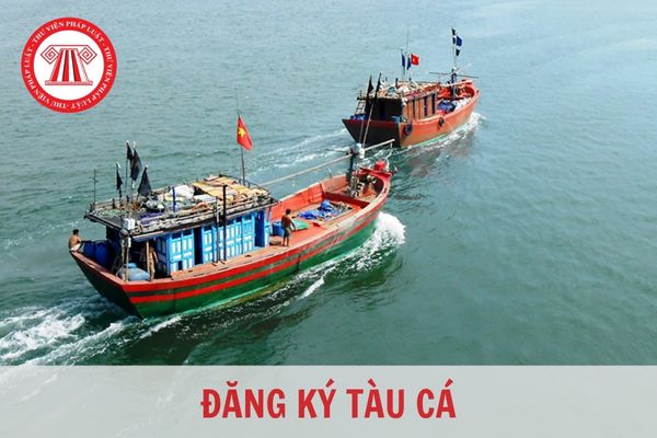 Danh mục viết tắt tên tỉnh, thành phố khi đăng ký tàu cá mới nhất 2023?