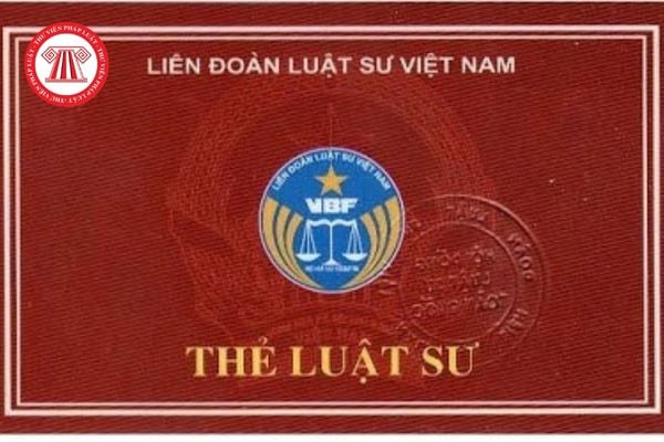 the-luat-su