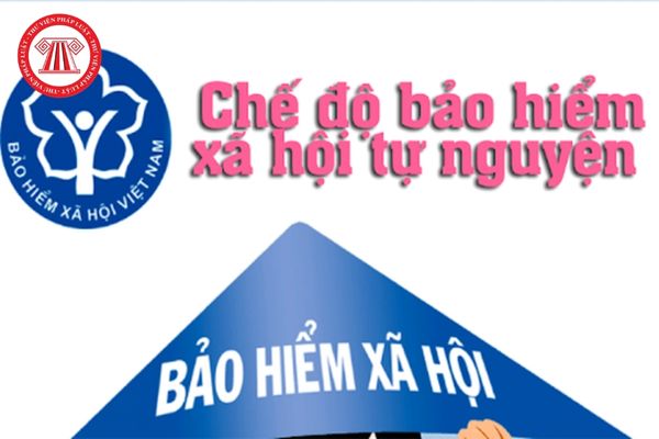 bao-hiem