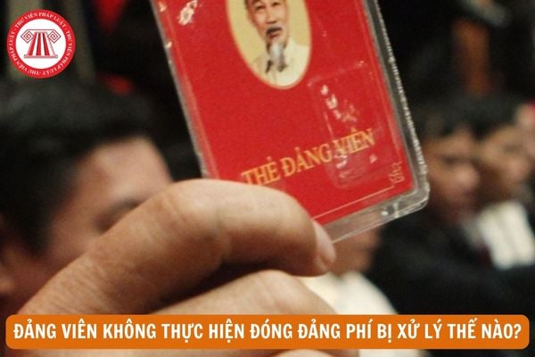 Đảng viên không thực hiện đóng đảng phí thì bị xử lý như thế nào?