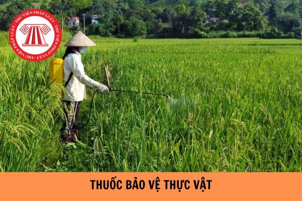 Điều kiện buôn bán thuốc bảo vệ thực vật là gì? Hồ sơ đề nghị cấp Giấy chứng nhận đủ điều kiện buôn bán thuốc bảo vệ thực vật gồm có những gì?