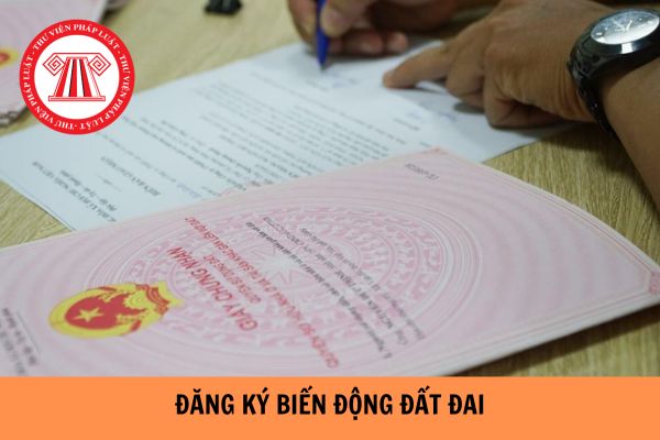 Khi đăng ký biến động đất đai theo quyết định giải quyết tranh chấp của Tòa án thì hồ sơ có cần Giấy chứng nhận sử dụng đất bản gốc nữa không?