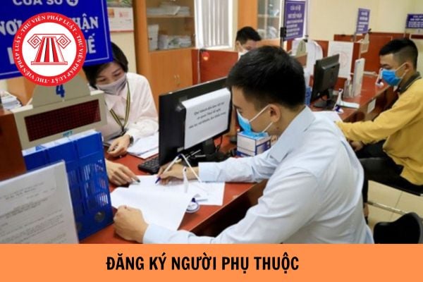 Hỏi đáp Pháp luật