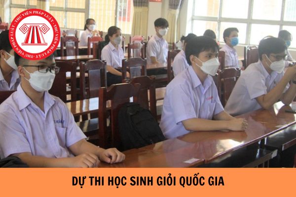 Từ ngày 25/11/2023, thí sinh dự thi học sinh giỏi quốc gia phải đáp ứng điều kiện gì?