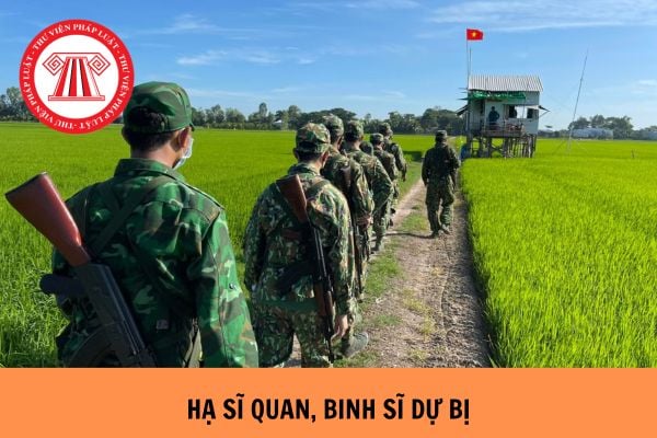 Hạng của hạ sĩ quan, binh sĩ dự bị được quy định như thế nào?