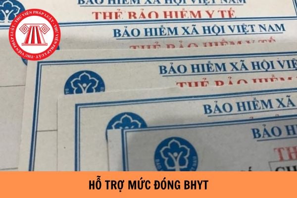 Đối tượng nào được ngân sách Nhà nước hỗ trợ mức đóng BHYT?