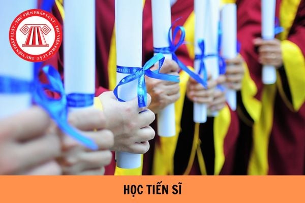 Học tiến sĩ phải có chứng chỉ ngoại ngữ gì? Từ đại học lên tiến sĩ mất bao lâu?