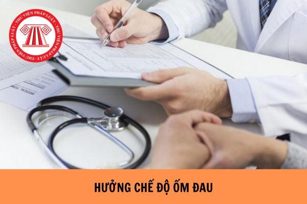 Hỏi đáp Pháp luật