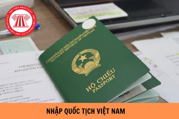 Nhập quốc tịch Việt Nam có bắt buộc phải thôi quốc tịch nước ngoài không?