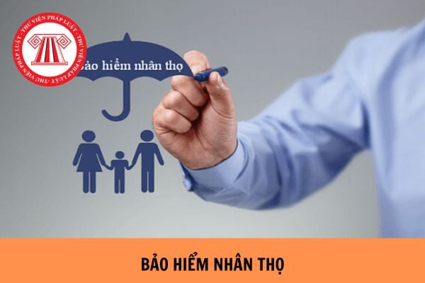 Bao nhiêu tuổi được mua bảo hiểm nhân thọ? Thời hạn bảo hiểm nhân thọ được tính từ thời điểm nào?