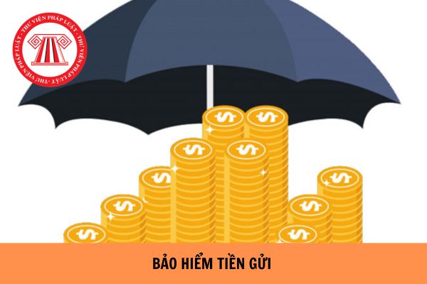 Chính thức: Tăng vốn điều lệ của Bảo hiểm tiền gửi Việt Nam lên hơn 5.281 tỷ đồng từ ngày 20/11/2023?