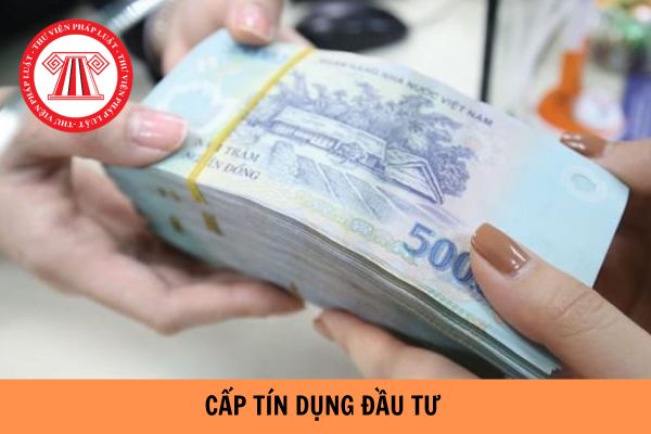 Tổng mức dư nợ cấp tín dụng đầu tư của Ngân hàng Phát triển Việt Nam cho khách hàng không được vượt quá bao nhiêu %?