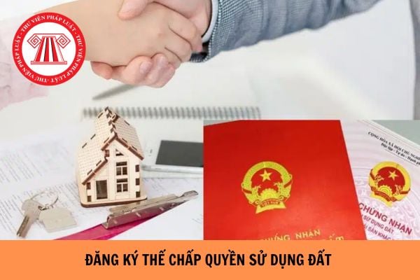 Đơn yêu cầu đăng ký thay đổi, sửa chữa nội dung đăng ký thế chấp quyền sử dụng đất mới nhất hiện nay?