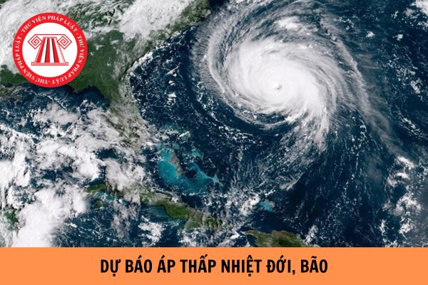  Bản tin chính dự báo áp thấp nhiệt đới, bão sẽ ban hành vào khung giờ nào?