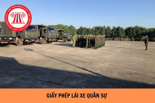 Thu hồi Giấy phép lái xe quân sự khi có hành vi giả mạo hồ sơ giấy tờ để được cấp Giấy phép lái xe quân sự từ ngày 04/01/2024?