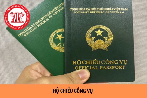 Mẫu tờ khai đề nghị cấp, gia hạn hộ chiếu công vụ mới nhất 2023?