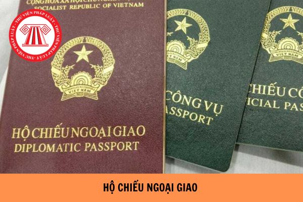 Mẫu tờ khai đề nghị cấp hộ chiếu ngoại giao mới nhất 2023?