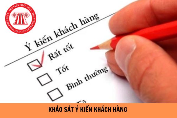 Mẫu phiếu khảo sát lấy ý kiến khách hàng mới nhất hiện nay?