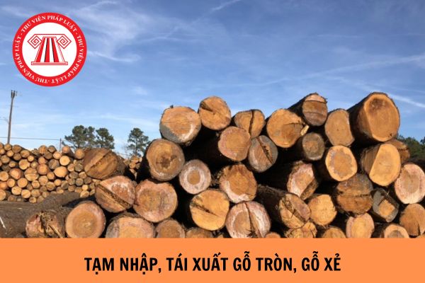 Chính thức: Tạm ngừng kinh doanh tạm nhập, tái xuất gỗ tròn, gỗ xẻ từ Lào và Campuchia từ ngày 04/01/2024?