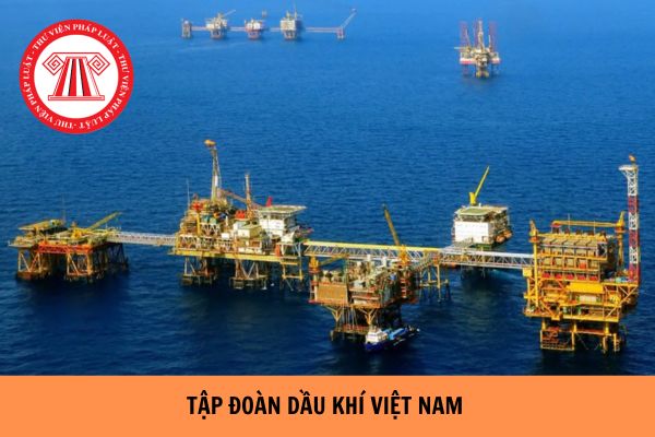 Tập đoàn Dầu khí Việt Nam có ngành, nghề kinh doanh gì? Danh sách các đơn vị trực thuộc công ty mẹ của Tập đoàn Dầu khí Việt Nam?