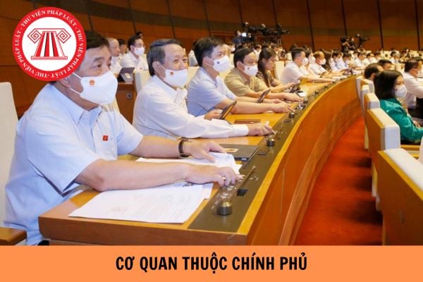 Danh sách 08 cơ quan thuộc Chính phủ hiện nay?